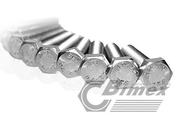 bimex6339647